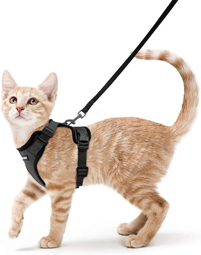 Adjustable Vest Harness for Cats - Zenithzoo