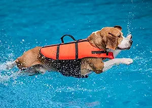 Dog Life Jacket - Zenithzoo