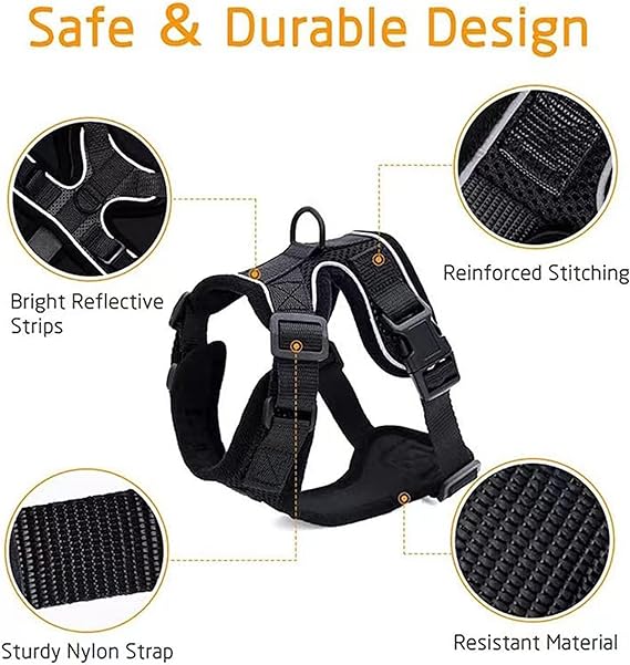 Adjustable Vest Harness for Cats - Zenithzoo