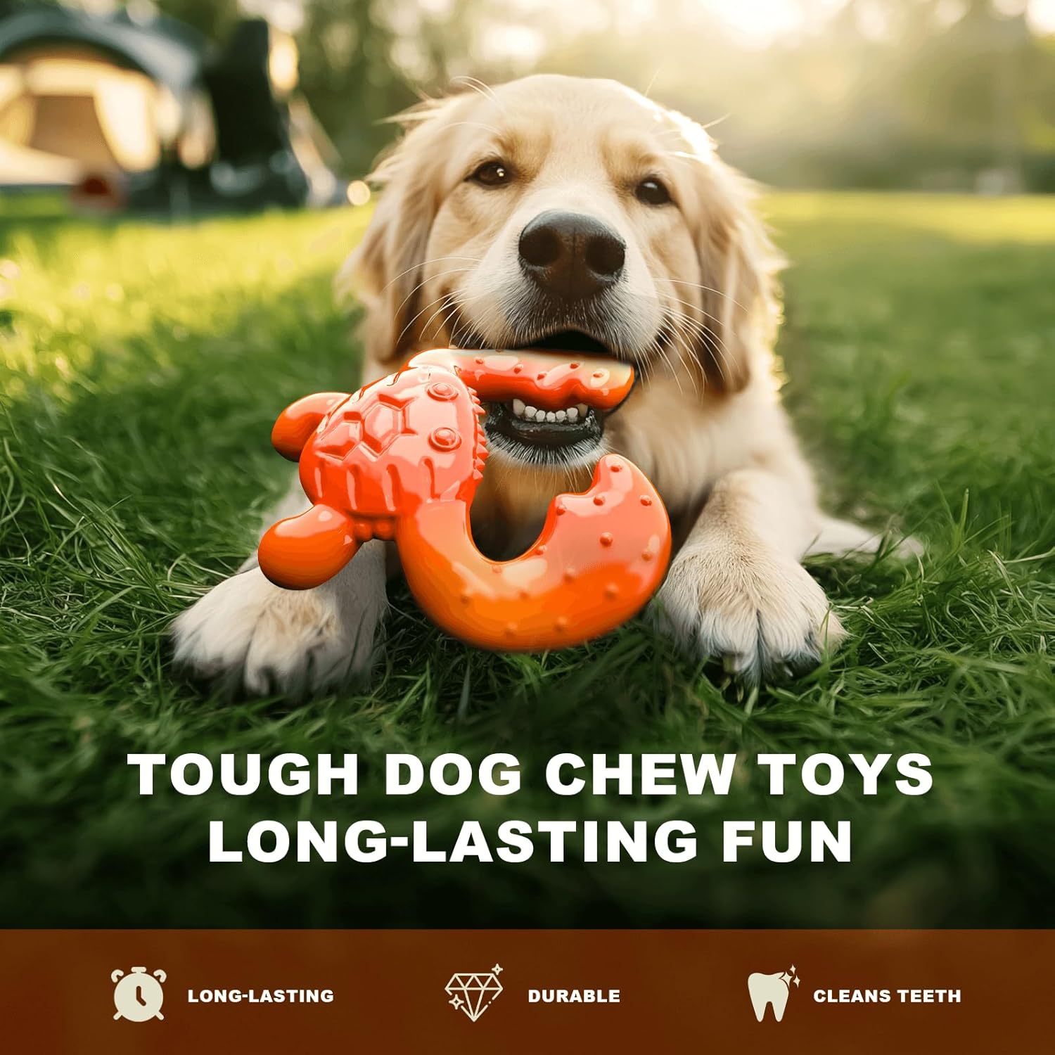 Dog Toys for Aggressive Chewers - Tough Dog Chew Toys for Medium/Large Breed, Super Durable Dog Toys for Teething, Nylon Bones Toy to Keep Them Busy, Interactive Dog Toys for Boredom - Zenithzoo