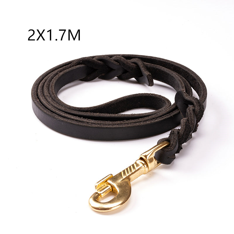 Leather Dog Leashes - Zenithzoo