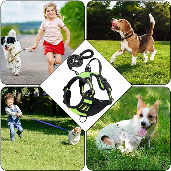 Comfort Harness & Safety Leash - Zenithzoo