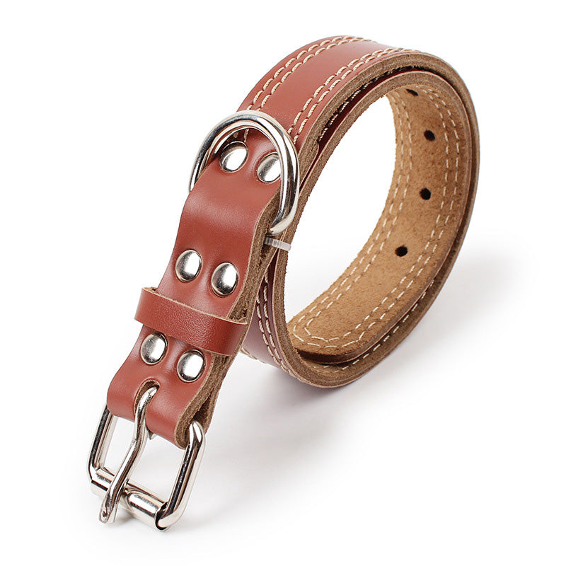 Dog leather traction collar - Zenithzoo