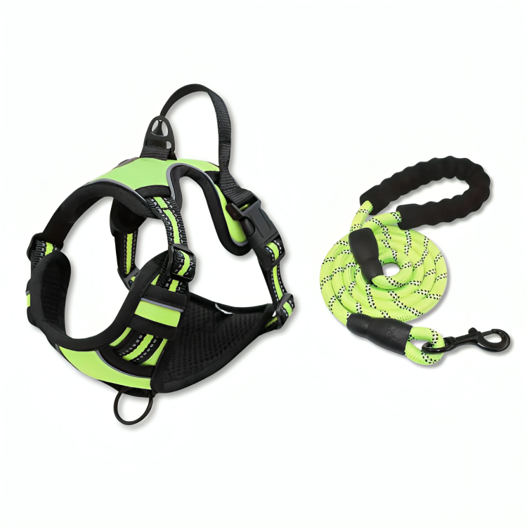 Comfort Harness & Safety Leash - Zenithzoo