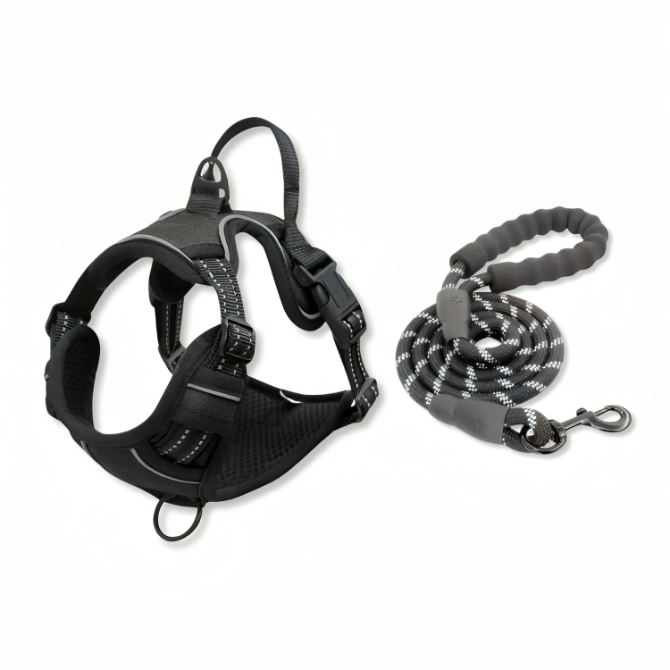 Comfort Harness & Safety Leash - Zenithzoo