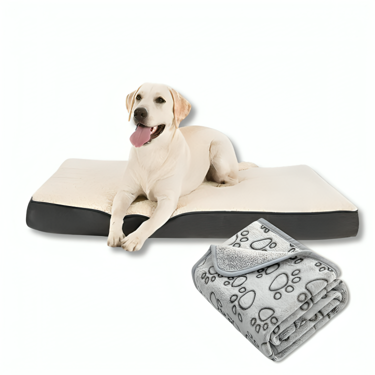 Orthopedic Bed & Calming Blanket - Zenithzoo