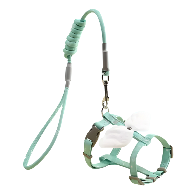 Winged Cat Harness & Leash Set - Zenithzoo