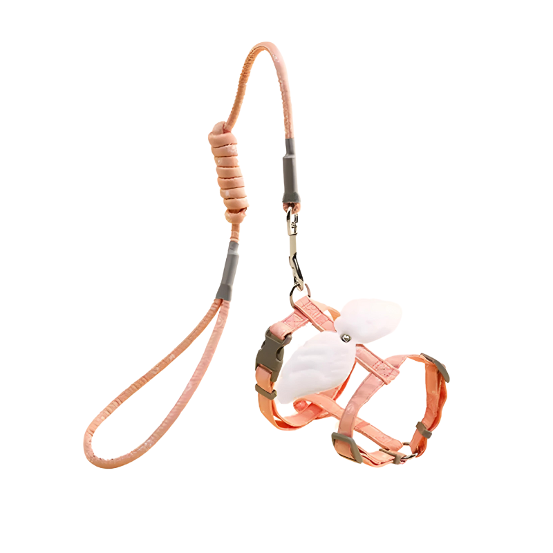 Winged Cat Harness & Leash Set - Zenithzoo