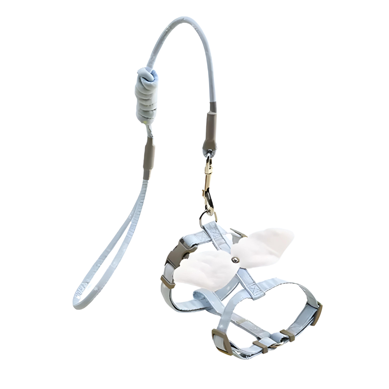 Winged Cat Harness & Leash Set - Zenithzoo