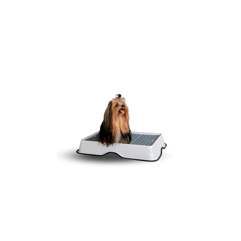 Dog Potty Training Tray - Zenithzoo