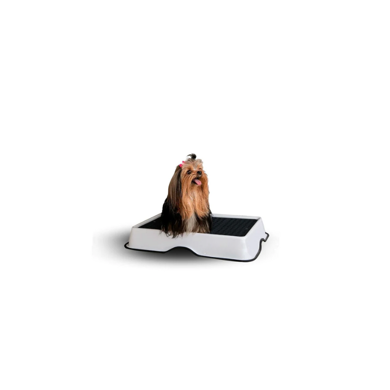 Dog Potty Training Tray - Zenithzoo