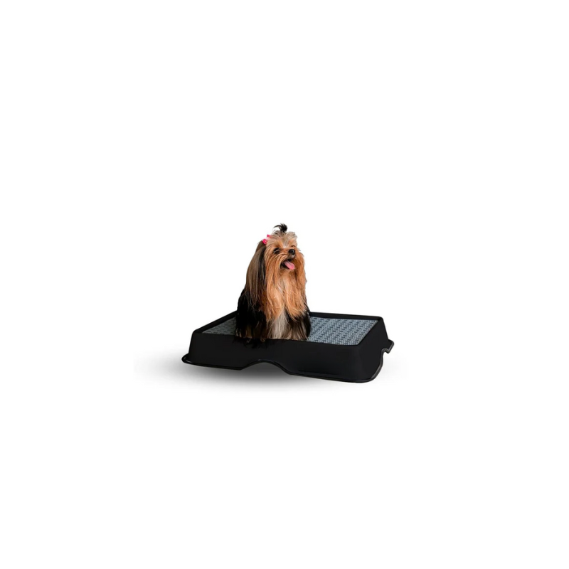 Dog Potty Training Tray - Zenithzoo