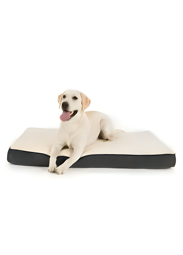 Big Orthopedic Dog Bed - Zenithzoo