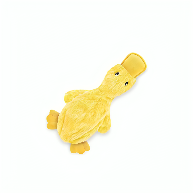 Crinkle Dog Toy - Zenithzoo