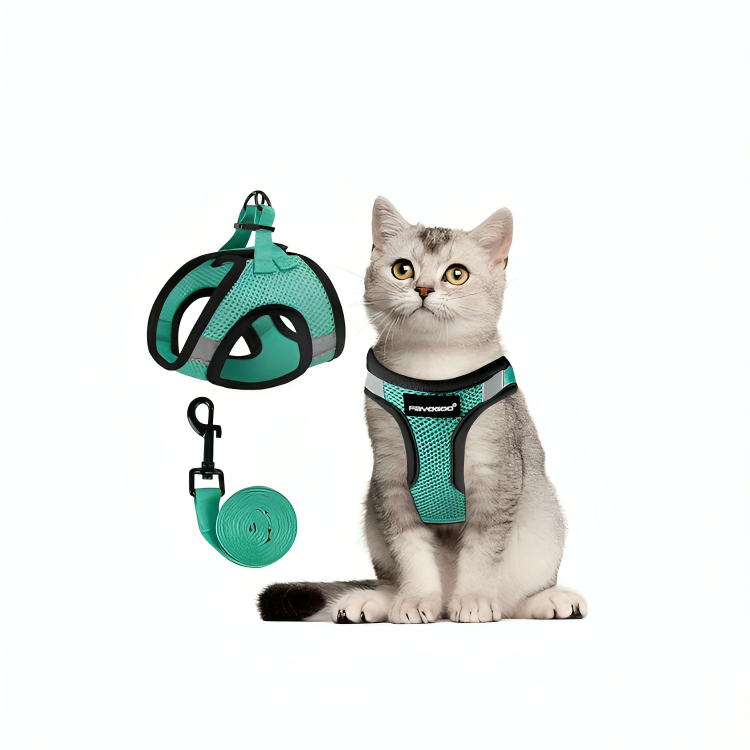 Soft Vest Harness and Leash(Medium, Green) - Zenithzoo