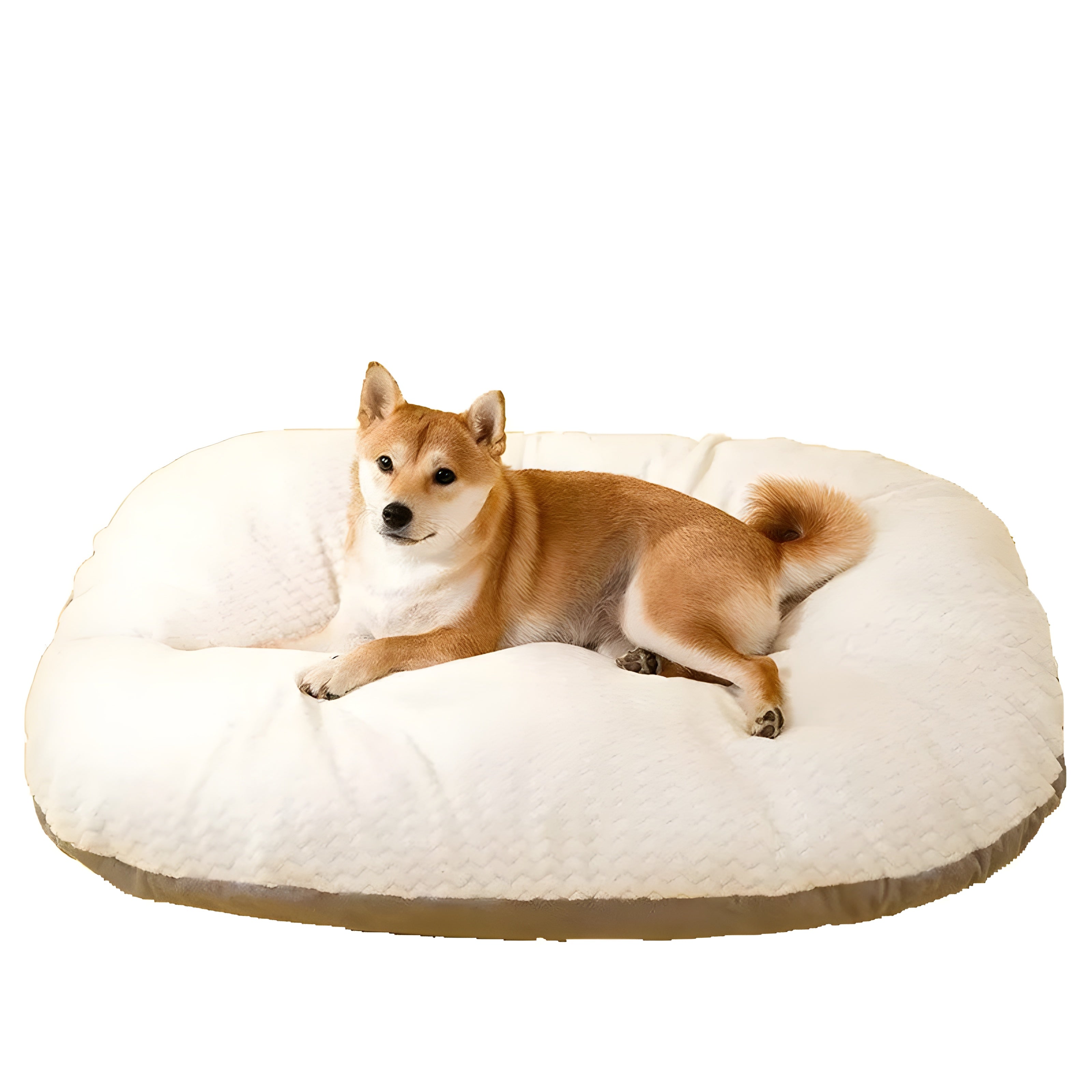 Durable Oval Dog Bed - Zenithzoo