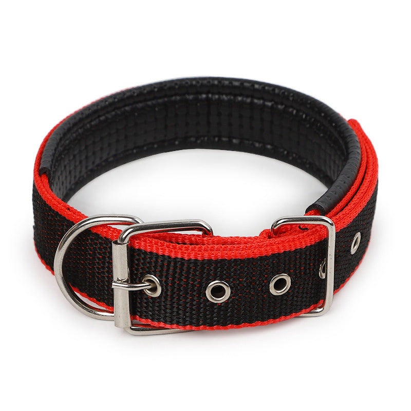 Attractive Dog Collar - Zenithzoo