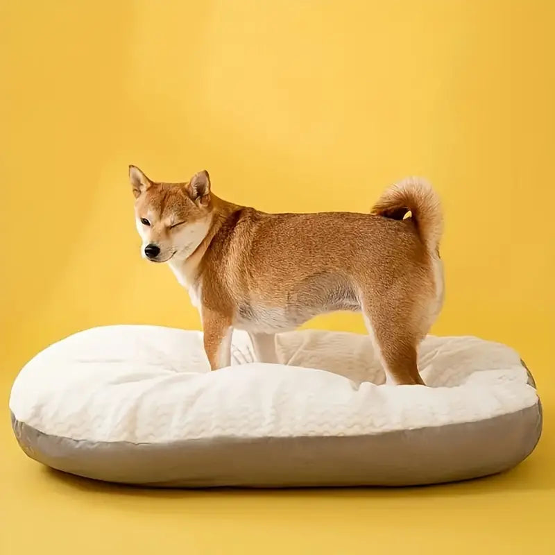 Durable Oval Dog Bed - Zenithzoo