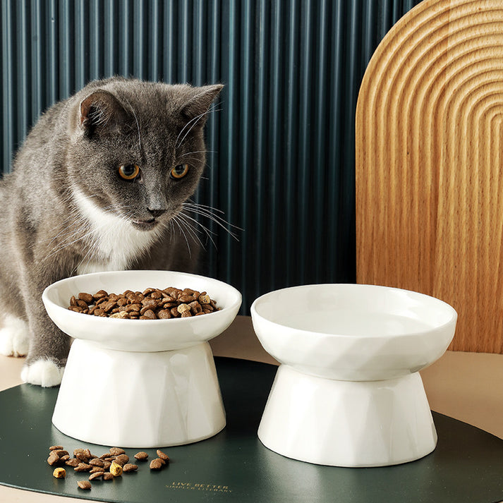 Protects Spine Cat Bowl - Zenithzoo