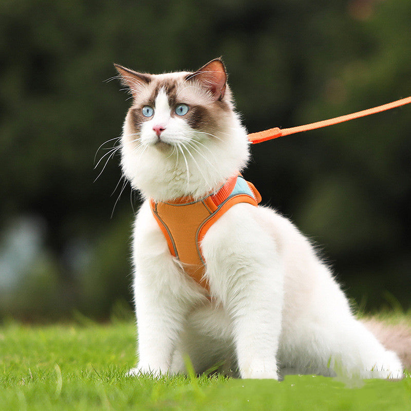 Anti Escape Reflective Cat Harness - Zenithzoo