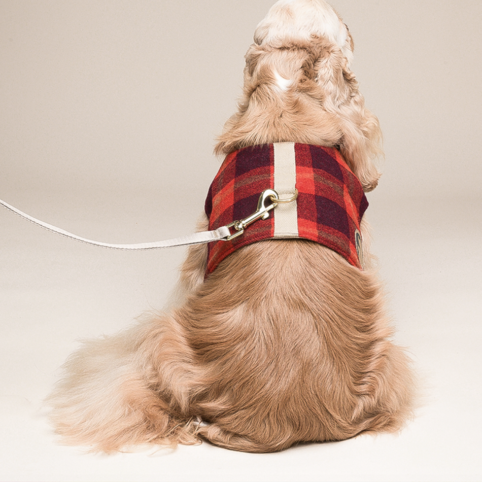 Attractive Dog Harness - Zenithzoo