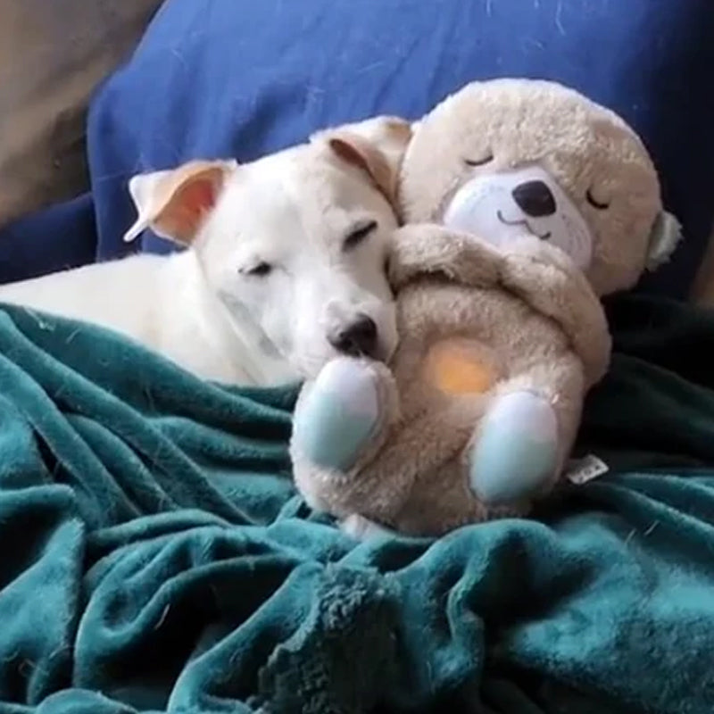 Calming Otter Plush for Dogs - Zenithzoo