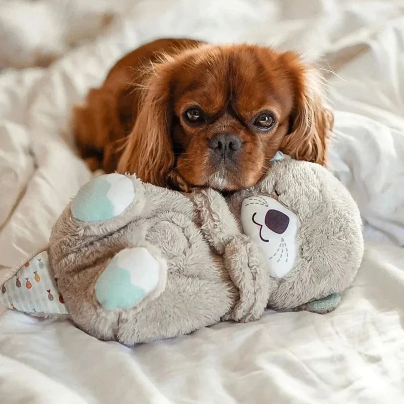 Calming Otter Plush for Dogs - Zenithzoo