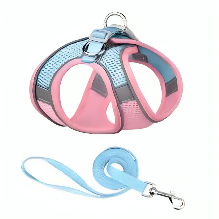 Cat Chest Harness With Luminous Traction Belt - Zenithzoo