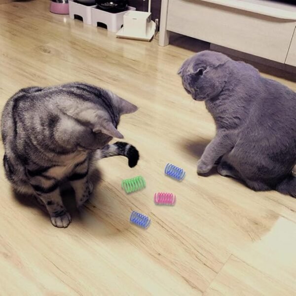 Cat Spiral Spring Toys - Image 2