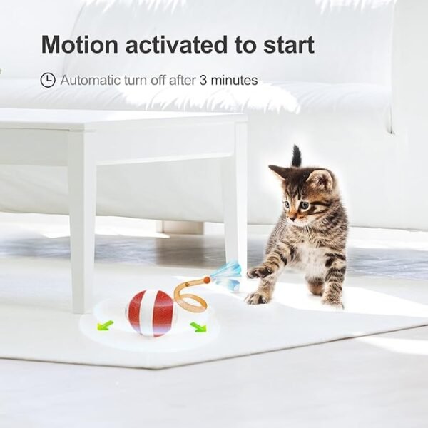 Interactive Cat Toys for Indoor Cats - Image 5
