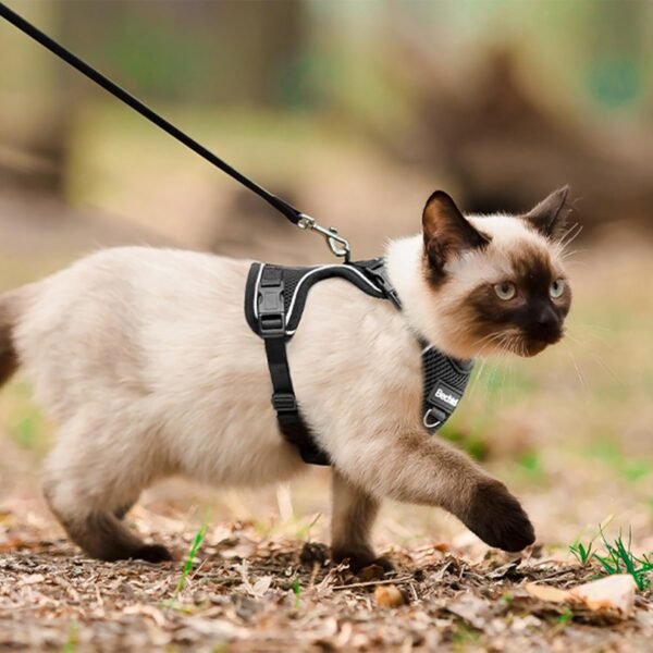 Cat Harness and Leash for Walking - Image 7
