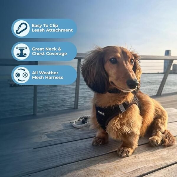 Voyager Step-In Air Cat Harness - Image 3