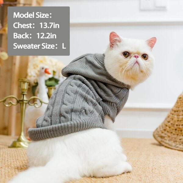 Cat Sweater Cold Weather Clothes - Image 6