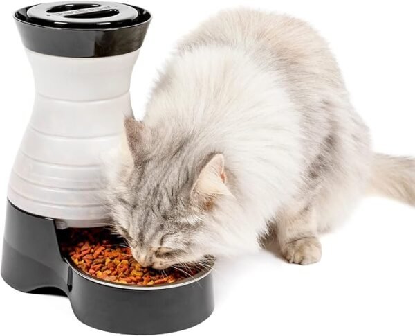 Healthy Pet Food Station