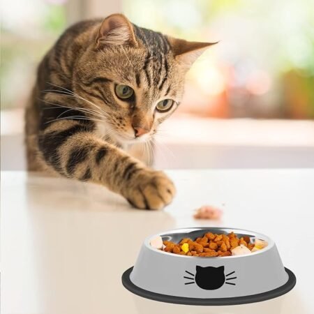 2Pcs Cat Bowls - Image 5