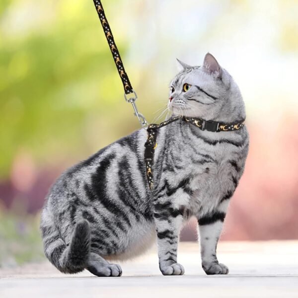 Cat Harness and Leash Set - Image 5