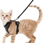 Adjustable Vest Harnesses for Cats