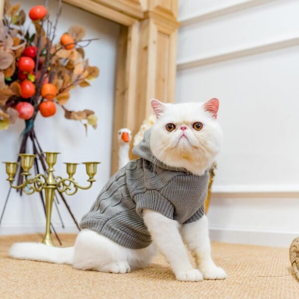 Cat Sweater Cold Weather Clothes - Image 7