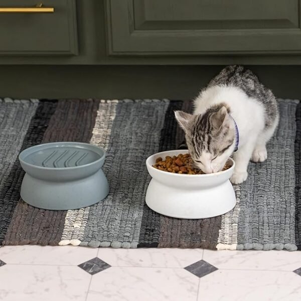 Raised Cat Bowls - Image 3