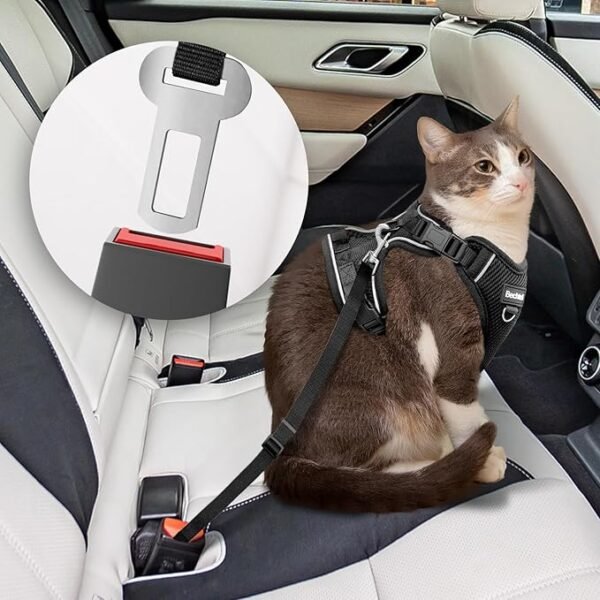 Cat Harness and Leash for Walking - Image 2