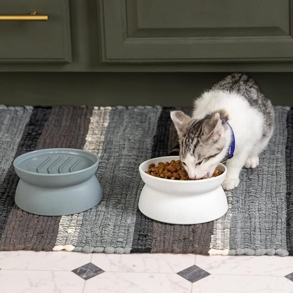 Raised Cat Bowls - Image 4