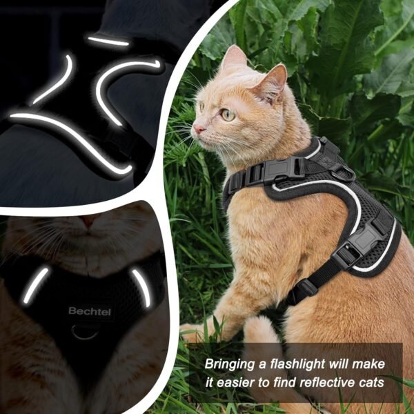 Cat Harness and Leash for Walking - Image 6
