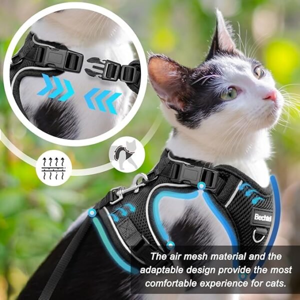 Cat Harness and Leash for Walking - Image 5
