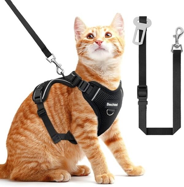 Cat Harness and Leash for Walking