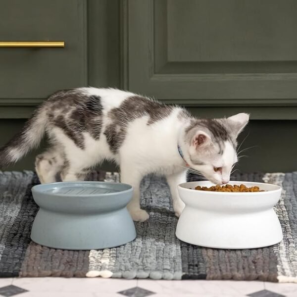 Raised Cat Bowls - Image 2