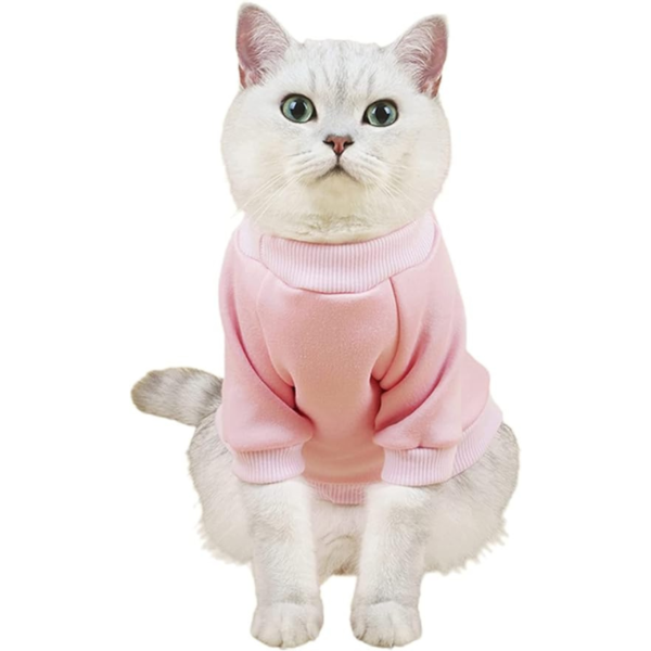 Cat Sweaters T-Shirt